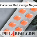 Cápsulas De Hormiga Negra 26